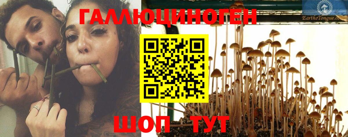 Псилоцибиновые грибы мухоморы Шахты